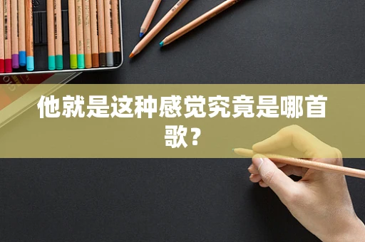 他就是这种感觉究竟是哪首歌？