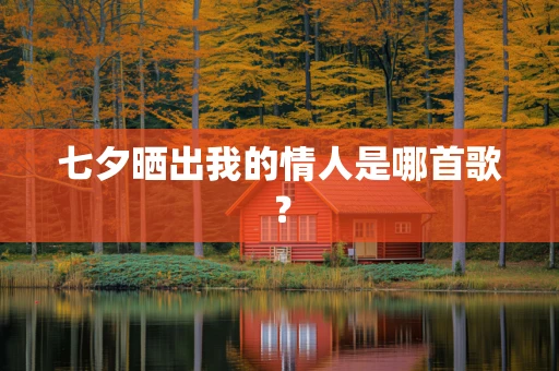 七夕晒出我的情人是哪首歌？
