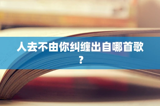 人去不由你纠缠出自哪首歌？