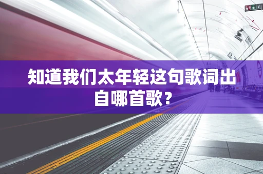 知道我们太年轻这句歌词出自哪首歌？