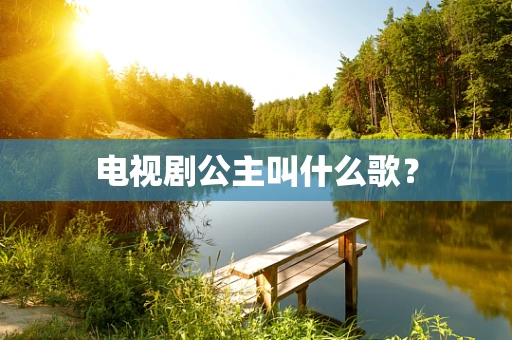 电视剧公主叫什么歌？