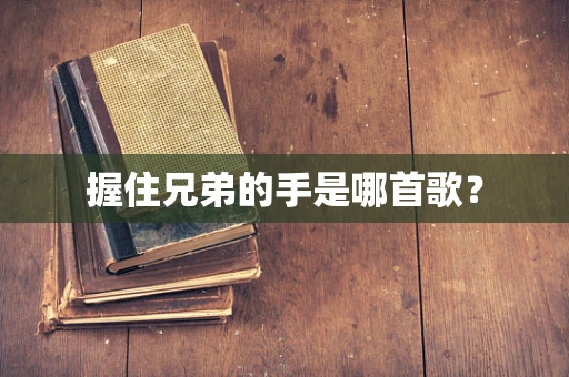 握住兄弟的手是哪首歌？