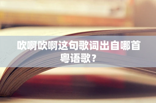 吹啊吹啊这句歌词出自哪首粤语歌？