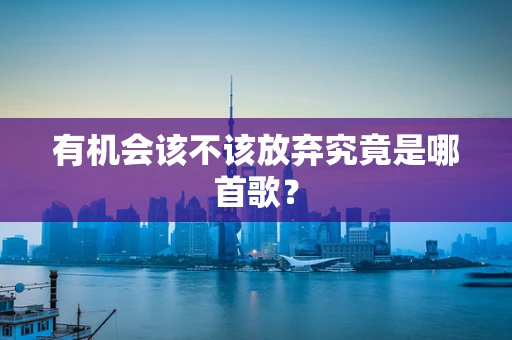 有机会该不该放弃究竟是哪首歌？