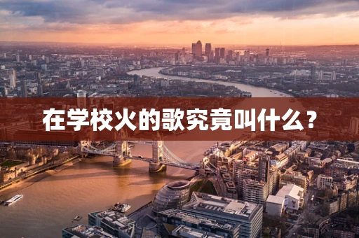 在学校火的歌究竟叫什么？
