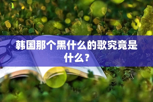 韩国那个黑什么的歌究竟是什么？