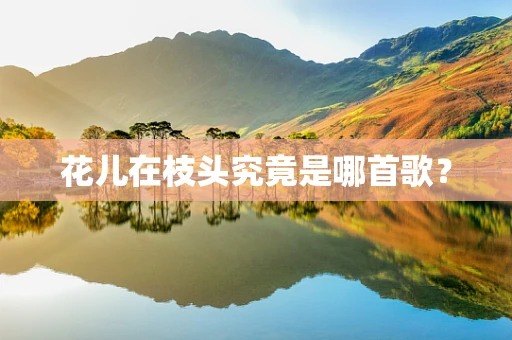花儿在枝头究竟是哪首歌？