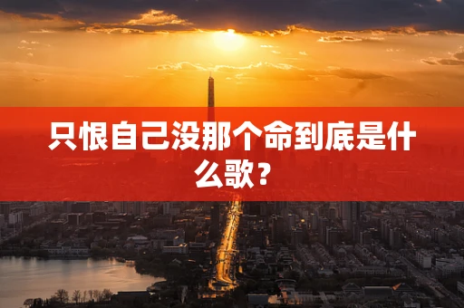 只恨自己没那个命到底是什么歌？