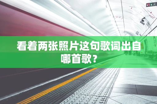 看着两张照片这句歌词出自哪首歌？