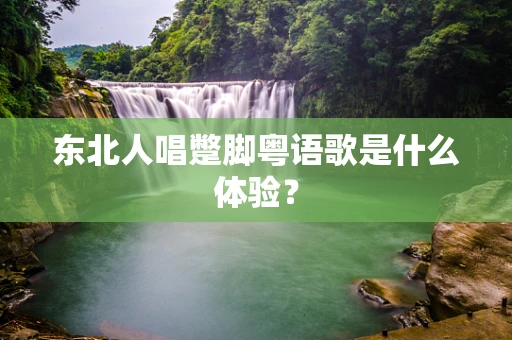 东北人唱蹩脚粤语歌是什么体验？