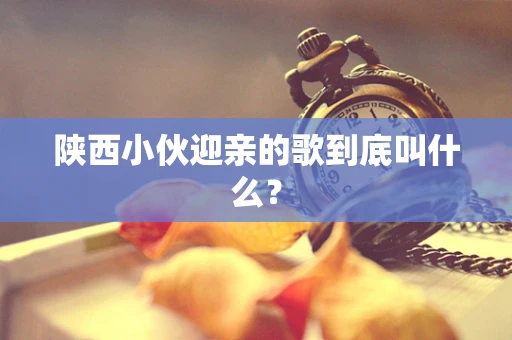 陕西小伙迎亲的歌到底叫什么？
