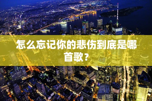 怎么忘记你的悲伤到底是哪首歌？