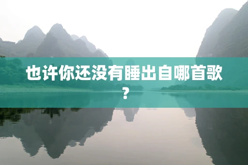 也许你还没有睡出自哪首歌？