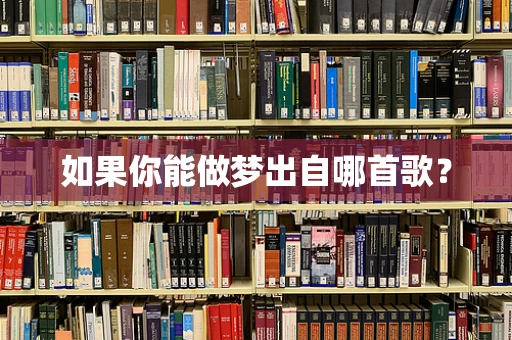如果你能做梦出自哪首歌？