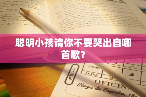 聪明小孩请你不要哭出自哪首歌？