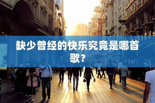 缺少曾经的快乐究竟是哪首歌？
