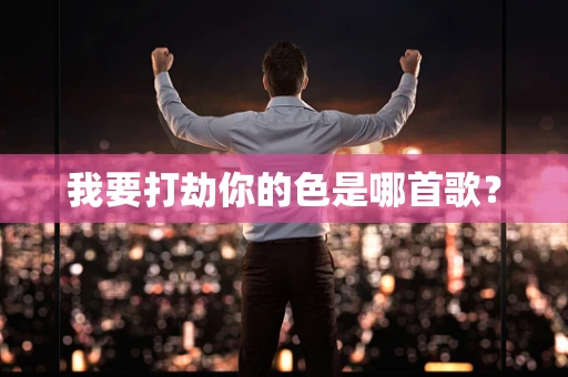 我要打劫你的色是哪首歌？