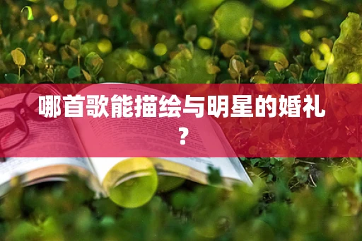 哪首歌能描绘与明星的婚礼？