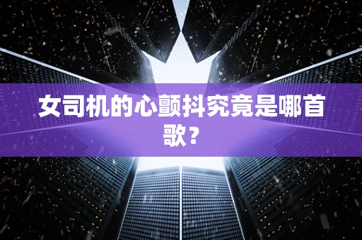 女司机的心颤抖究竟是哪首歌？