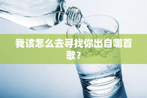 我该怎么去寻找你出自哪首歌？