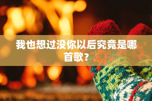 我也想过没你以后究竟是哪首歌？