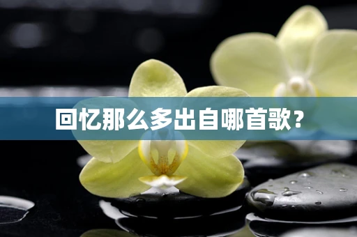 回忆那么多出自哪首歌？