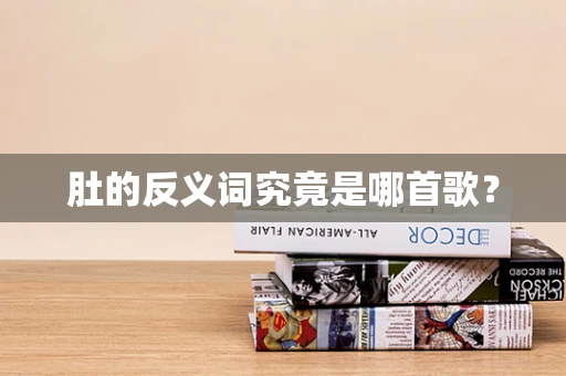 肚的反义词究竟是哪首歌？