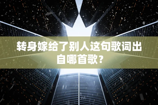 转身嫁给了别人这句歌词出自哪首歌？