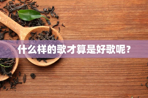 什么样的歌才算是好歌呢？