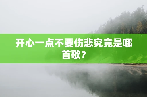 开心一点不要伤悲究竟是哪首歌？
