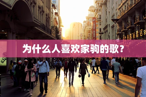 为什么人喜欢家驹的歌？