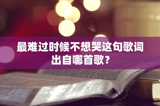 最难过时候不想哭这句歌词出自哪首歌？