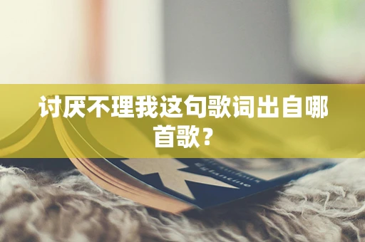 讨厌不理我这句歌词出自哪首歌？