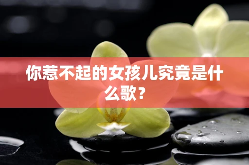 你惹不起的女孩儿究竟是什么歌？