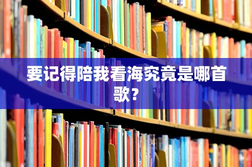 要记得陪我看海究竟是哪首歌？