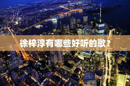 徐梓淳有哪些好听的歌？