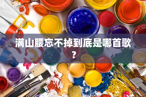满山腰忘不掉到底是哪首歌？
