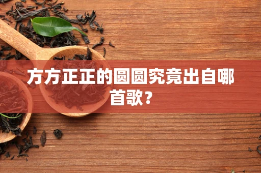 方方正正的圆圆究竟出自哪首歌？