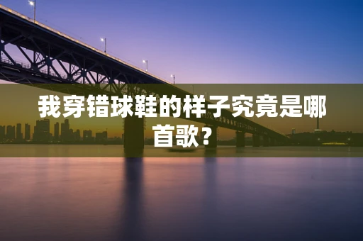 我穿错球鞋的样子究竟是哪首歌？