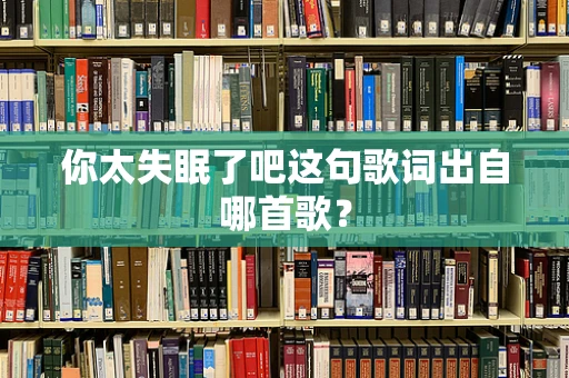 你太失眠了吧这句歌词出自哪首歌？