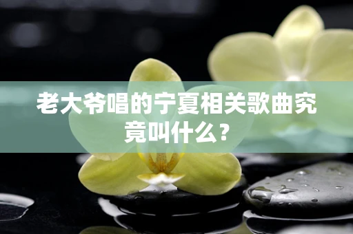 老大爷唱的宁夏相关歌曲究竟叫什么？