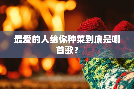 最爱的人给你种菜到底是哪首歌？