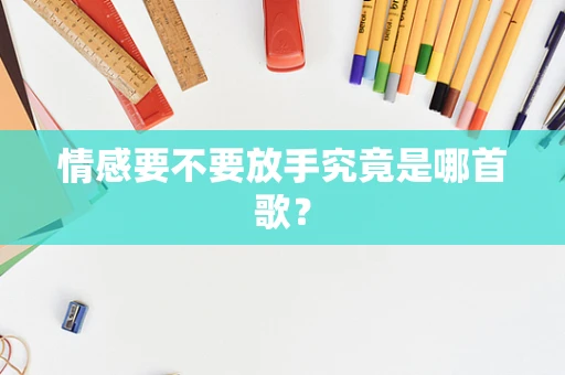 情感要不要放手究竟是哪首歌？