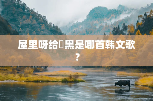屋里呀给囧黑是哪首韩文歌？