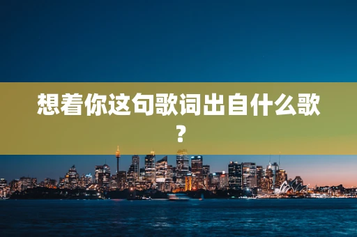 想着你这句歌词出自什么歌？