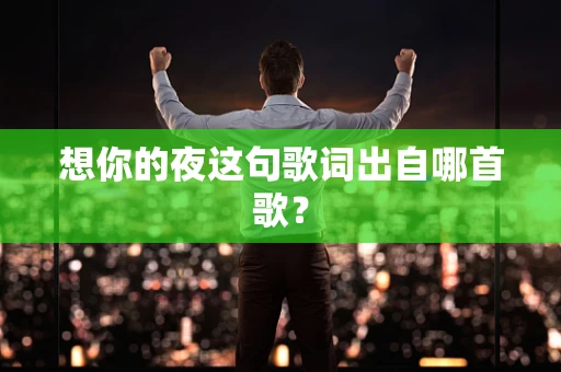 想你的夜这句歌词出自哪首歌？