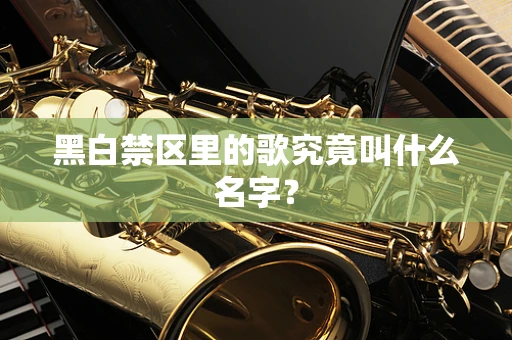 黑白禁区里的歌究竟叫什么名字？