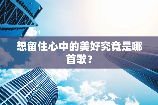 想留住心中的美好究竟是哪首歌？