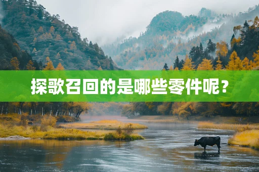 探歌召回的是哪些零件呢？