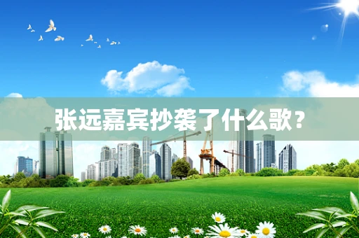 张远嘉宾抄袭了什么歌？